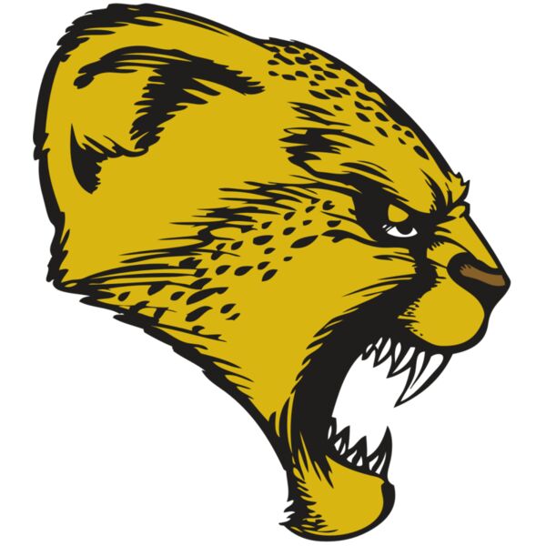 BAW CHEETAH 13 RC Thumbnail